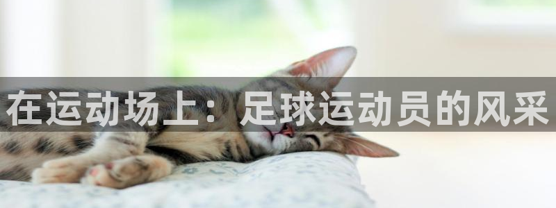 在运动场上：足球运动员的风采
