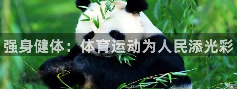 强身健体：体育运动为人民添光彩
