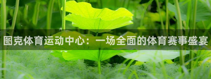 图克体育运动中心：一场全面的体育赛事盛宴