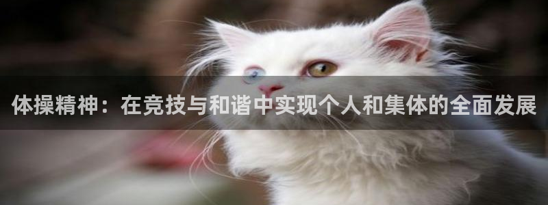 体操精神：在竞技与和谐中实现个人和集体的全面发展